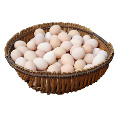 名滋园 土鸡蛋 40枚 鲜鸡蛋 柴鸡蛋 草鸡蛋 生鲜