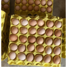 土鸡蛋 食用 箱装